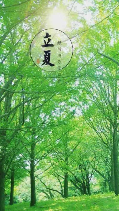 立于风中的elsa 【立夏】手机壁纸屏幕背景 清爽纯净 唯美艺术插图